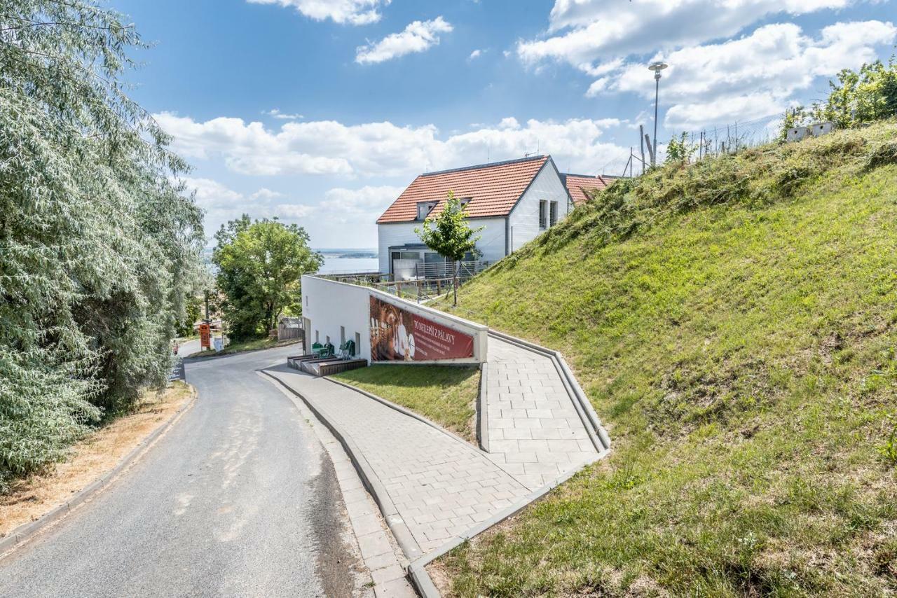 Apartmán se sklípkem Pavlov Exterior foto