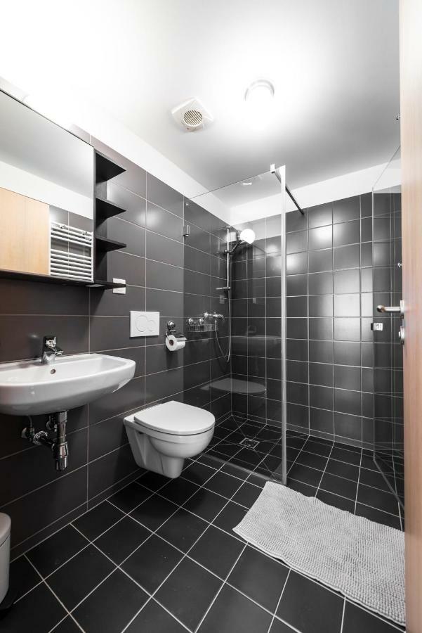 Apartmán se sklípkem Pavlov Exterior foto
