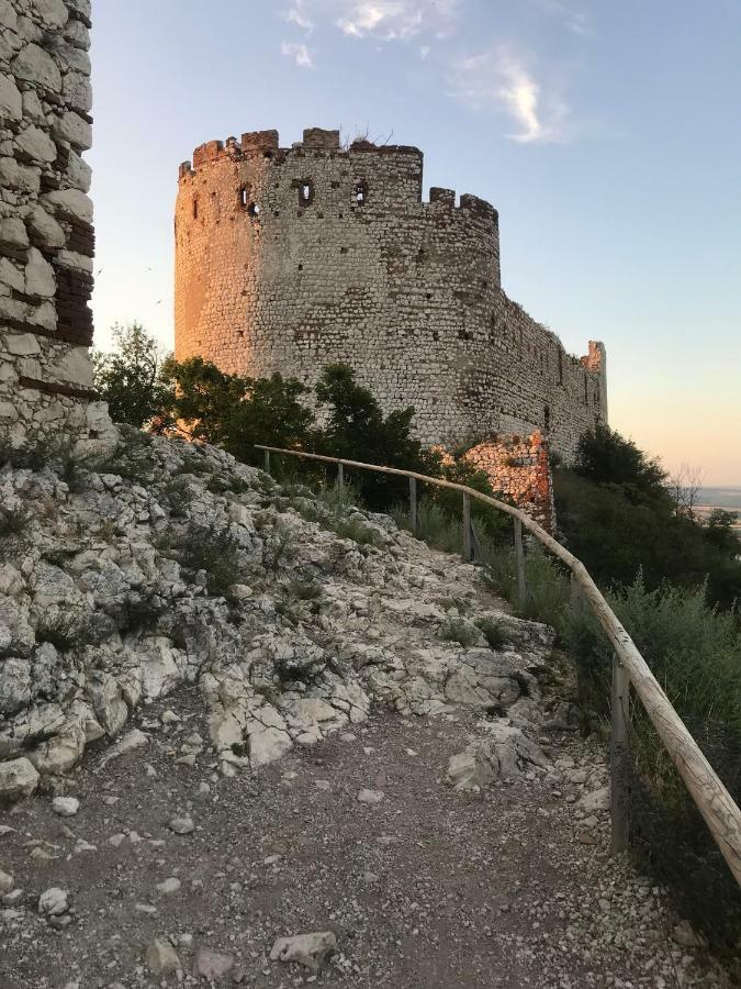 Apartmán se sklípkem Pavlov Exterior foto